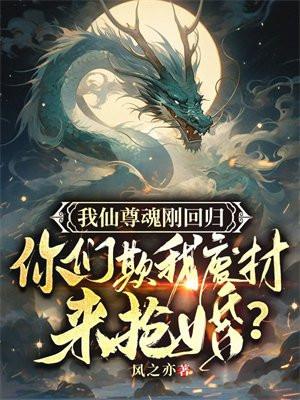 我家仙尊被雷劈了