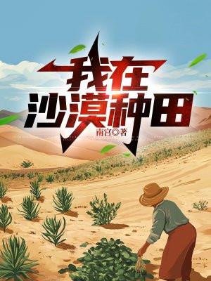 我再沙漠种绿洲