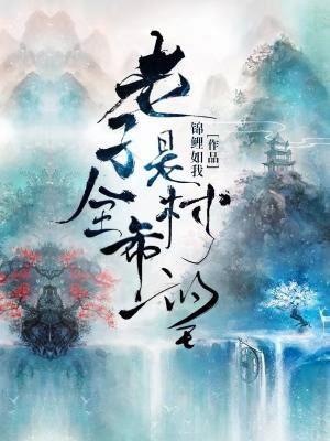 老子是全村的希望正版