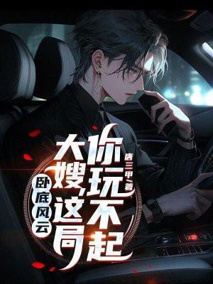 卧底风云电影