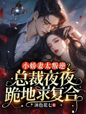 总裁小小妻