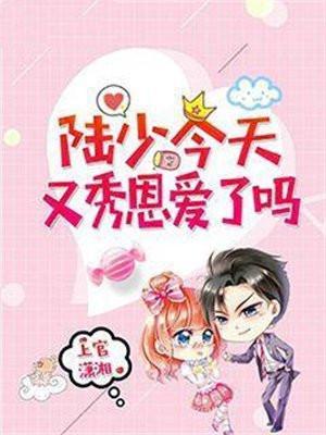 陆少今天离婚不txt