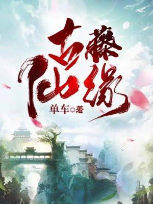 古藤仙缘TXT免费