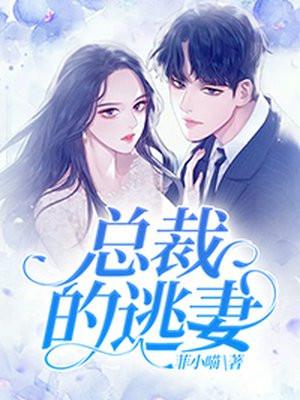 总裁的逃妻完整