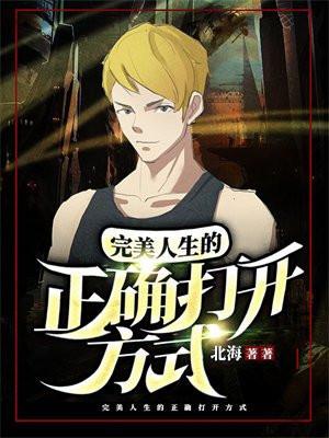 完美人生什么