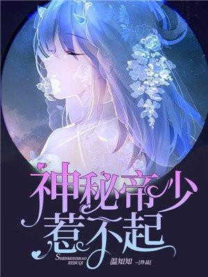 神秘帝少甜宠妻