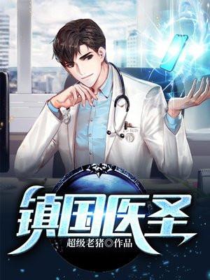 镇国医圣TXT全本