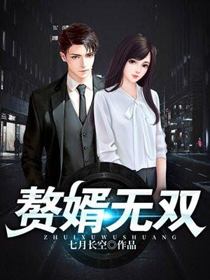 赘婿无双电视剧免费观看