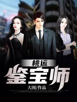 桃运鉴宝师/奇少