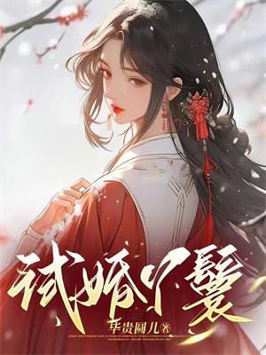 试婚丫鬟逆袭沈渊和酒酿