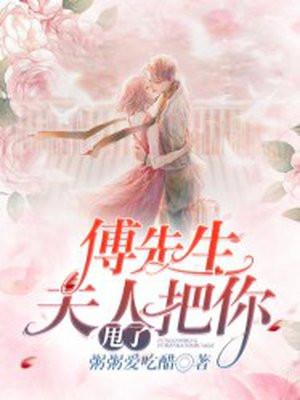 傅先生的夫人