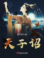 天子诏酒价格表和图片