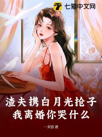 渣夫携白月光抢子?我离婚你哭什么txt