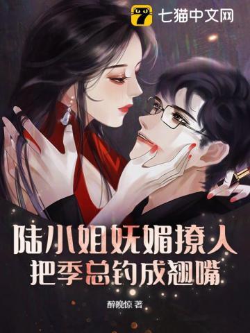 陆小陆小姐