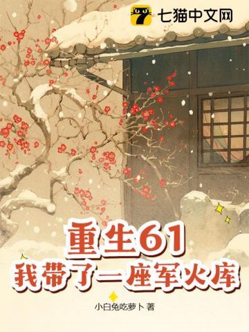 我带了一座军火库动漫