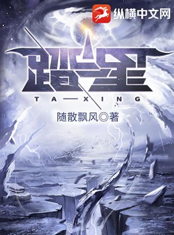 踏星笔趣阁无弹窗阅读