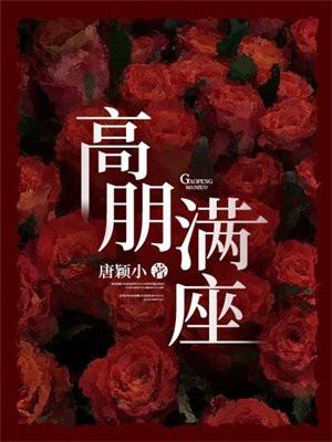 高朋满座电视剧国语版