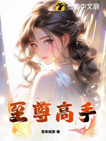 至尊高手叶锋免费阅读 至尊高手叶锋免费阅读