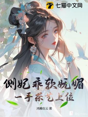 侧妃上位记免费阅读