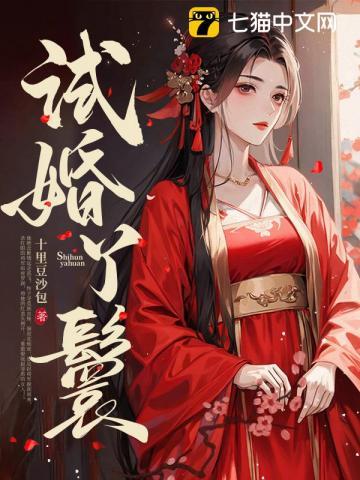 试婚丫鬟好看吗