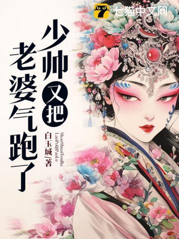 少帅又把老婆气跑了剧情