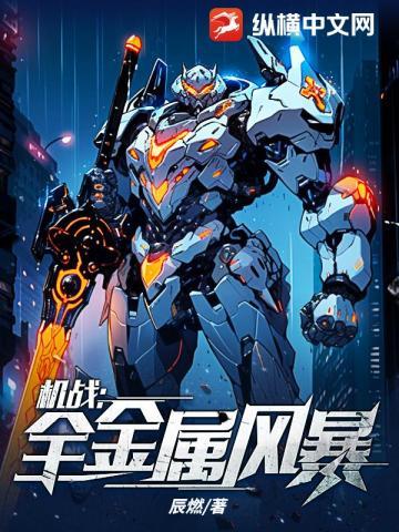 机战全金属风暴TXT百度