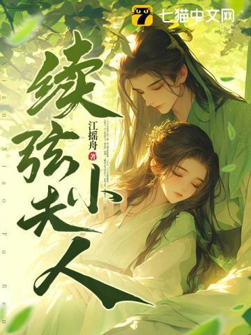 续弦小夫人全文免费