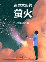 追寻火红的太阳的意思