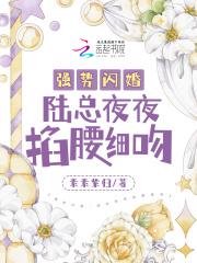 强势闪婚陆总夜夜掐腰细吻 素素紫归
