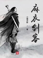 麻衣剑客TXT
