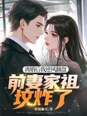离婚后前妻破产了txt