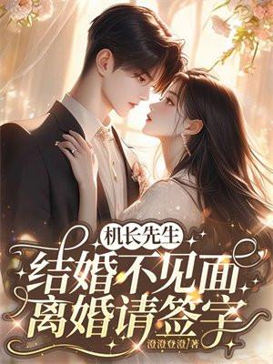 机长先生结婚不见面离婚请签字全文免费阅读