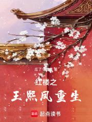 红楼王熙凤重生救了林如海的