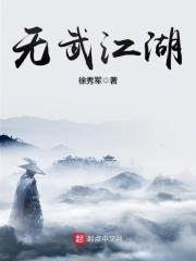 无武江湖全本txt精校徐秀军百度