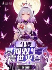 斗罗之冥皇之子