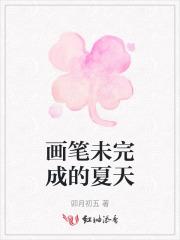 未完成的夏天歌词 未完成的夏天歌词