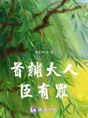 首辅大人臣有罪 首辅大人臣有罪