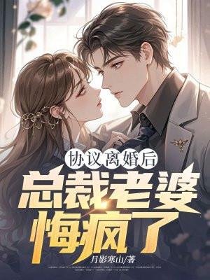协议离婚后总裁老婆悔疯了月影寒山