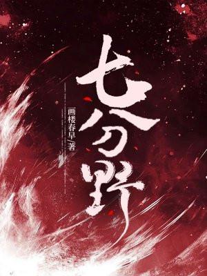 七分野电视剧免费观看