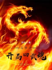 斗罗开局四武魂