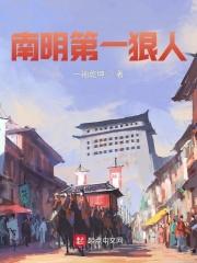 南明第一狠人 这本文笔怎么样?