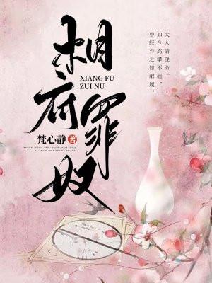 相府傻女全部