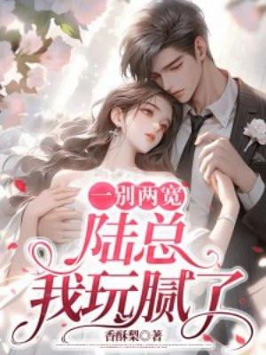 一别两宽陆总我玩腻了许留夏陆衍沉番外
