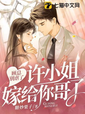 许小姐嫁给你哥了 书旗