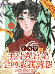 小可怜v