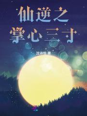 仙逆之掌心三寸文笔怎么样