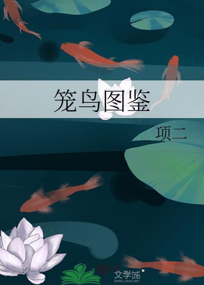 笼鸟图鉴by项二TXT