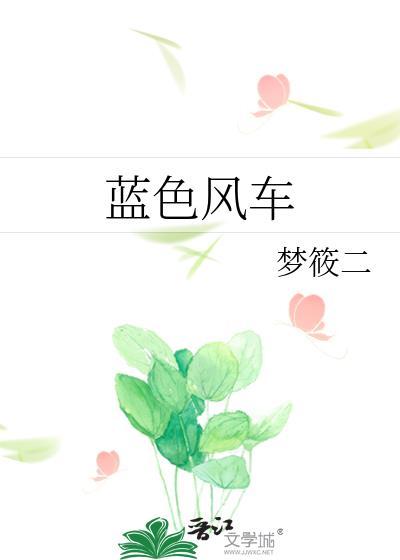 蓝色风车是双洁的吗