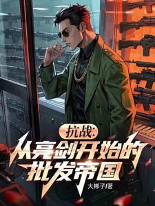 抗战从亮剑开始的批发帝国全文阅读