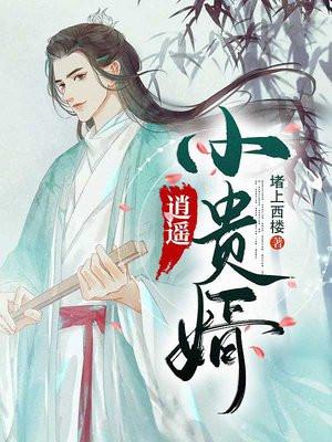 逍遥小贵婿第二部在线观看